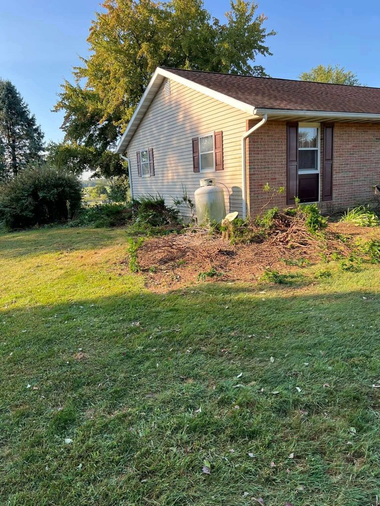 tearing out old plants around house, landscaping, full tear out