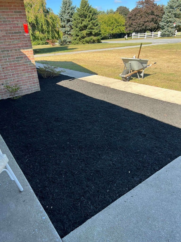 clean new mulch beds