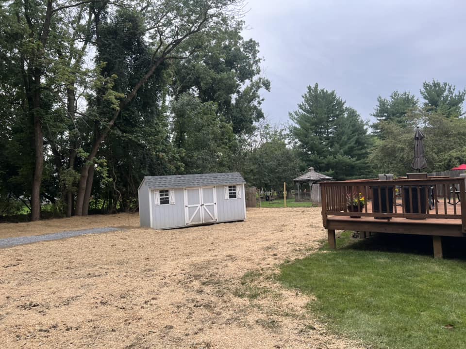 newly regraded back yard around a sheed