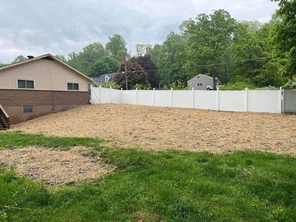 regraded back yard hill