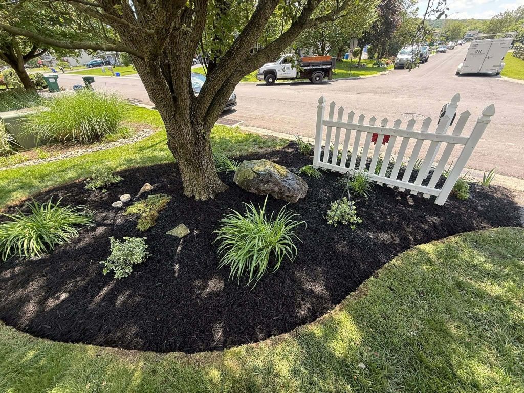 landscaping project, spring cleanup of garden around tree