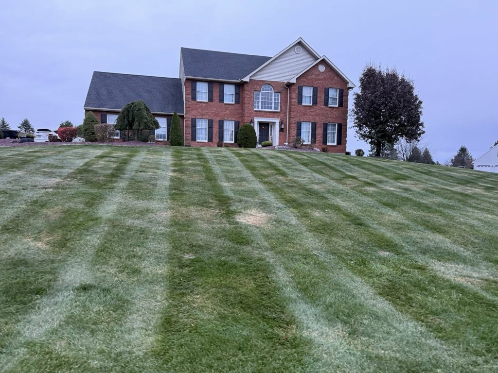 spring cleanup for large front lawn, lawn mowing and pruning